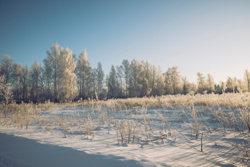 Winter forests in the frost, the snow around is beautiful