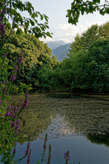 lake in the park, under mountain Olympos, Greece