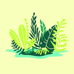Vector flat illustration with green tropical leaves. Cartoon handraw flat style. All elements are isolated. For flat design, poster, web banners, book illustration, cover, postcard. Exotic flora.