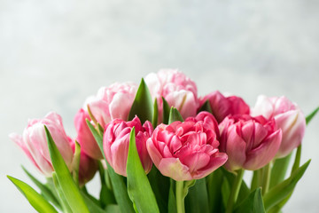 Bouquet of beautiful pink peony tulips on grey background. Closeup view, copy space for text or design