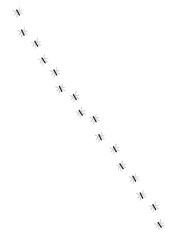 Vector black sketch ants silhouette path line isolated on white background