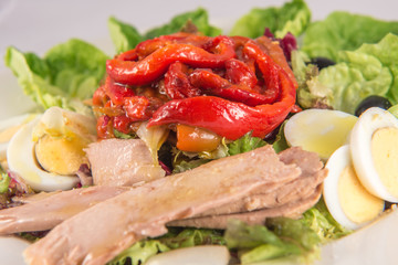 Zorongollo roast pepper salad with lettuce, bonito and bolied egg