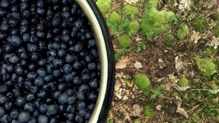 basket with blueberries