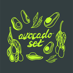 Vector set with green linear avocado on the dark background with handraw lettering. Cartoon doodle style. Vegan shop, organic food. For covers, package design, web banners. All elements are isolated.