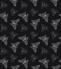 Vector seamless pattern of white hand drawn doodle sketch butterfly and moth isolated on black background