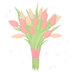 Bouquet of spring tulip flowers. Illustration in warm pink and coral color. Bunch of flowers tied with ribbon.