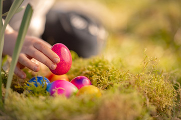 Kinderhand greift nach Ostereier in einem Nest
