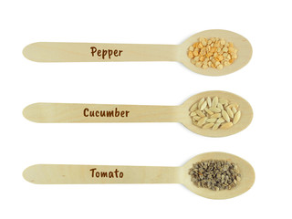 Seeds of pepper, cucumber and tomato closeup in wooden spoons isolated on white background. Vegetable growing, gardening.  