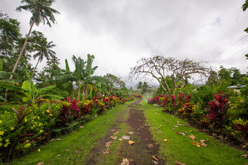 Forest road on Upolu, Samoa Island