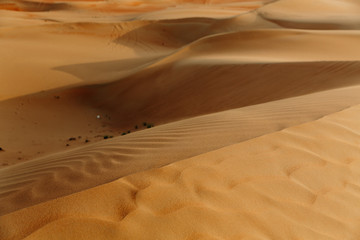 Desert Dunes of the Empty Quarter in the UAE Dubai