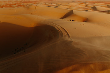 Desert Dunes of the Empty Quarter in the UAE Dubai