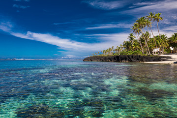 Tropical beach on south side of Samoa Island with coconut palm trees