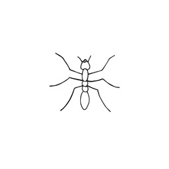 Vector hand drawn doodle sketch ant isolated on white background