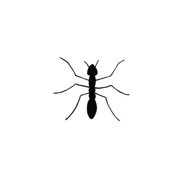 Vector black sketch ant silhouette isolated on white background