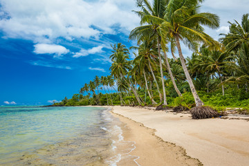Tropical beach on south side of Samoa Island with coconut palm trees