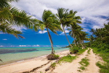 Fototapeta premium Tropical beach on south side of Samoa Island with coconut palm trees