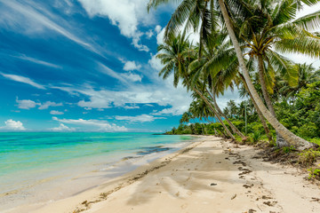 Tropical beach on south side of Samoa Island with coconut palm trees
