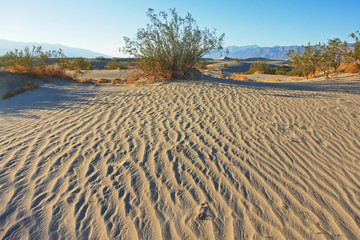 Death Valley National Park in USA