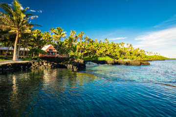 Tropical beach on south side of Samoa Island with coconut palm trees