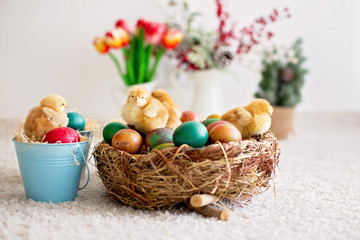 Cute little newborn chicks in a bucket and easter eggs