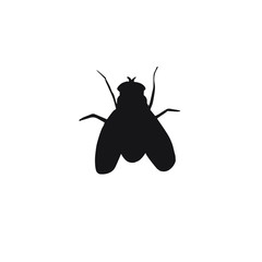 Vector black sketch fly insect silhouette isolated on white background
