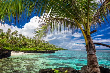 Tropical beach on south side of Samoa Island with coconut palm trees