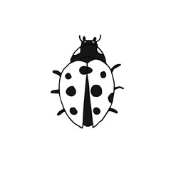 Vector hand drawn doodle sketch ladybug isolated on white background