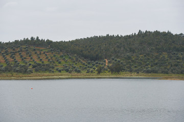 Landscape in lake reservoir dam of Alqueva with trees in Alentejo, Portugal