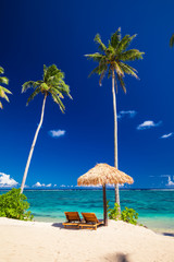Vibrant tropical beach with palm trees, Upolu, Samoa