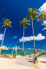 Vibrant tropical beach with palm trees, Upolu, Samoa