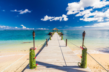 Vibrant tropical beach with palm trees, Upolu, Samoa