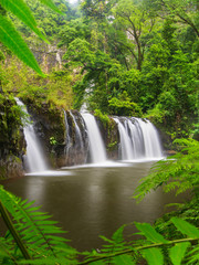 Waterfall in Tropical Rainforest. 