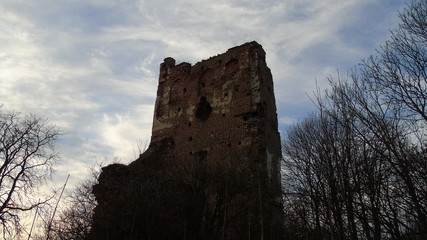 ruiny zamku w Borysławice Zamkowe.