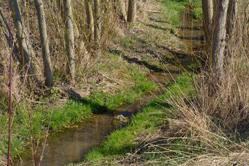 kleiner bachlauf
