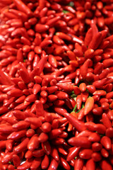 Fresh ripe chili peppers for sale