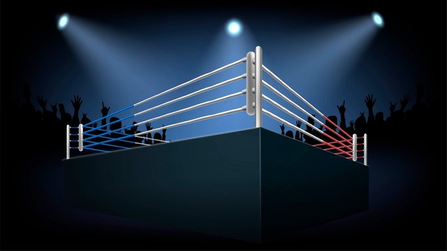 Empty Boxing Ring In A Dark Room And Crowd, Platform For Fighting Competitions Bottom View