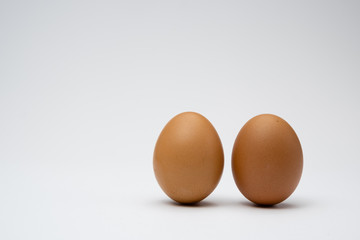 chicken egg on a white background