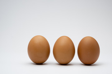 chicken eggs on a white background