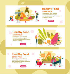 Fototapeta premium Vegetable Salad, Protein Food and Farm Product.