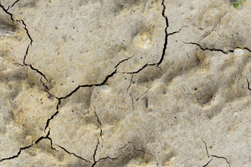 Background and texture of light earth with cracks in the earth