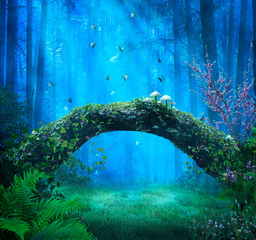 Zauberwald bei Nacht und Lichtstrahlen, die einen Baumstamm und blaue Schmetterlinge erhellen