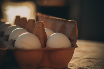 Bio-Eier im Karton