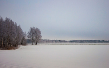 Beautiful winter landscape with lot of snow