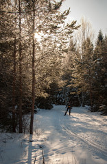 Beautiful winter landscape with lot of snow
