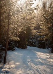 Beautiful winter landscape with lot of snow