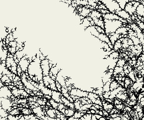 Branch of Blackthorn. Vector drawing