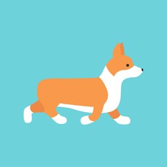 Cartoon Character Welsh Corgi Running View Domestic Pet Concept Element Flat Design Style.