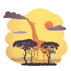 African giraffe vector illustration. Fantasy scene with a giraffe eating a cloud over the savannah. Illustration for posters, cards and other design.