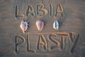 vagina-shaped seashell on the background of the inscription labiaplasty. female health concept