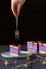 blueberry cheesecake on dark background and hand with fork